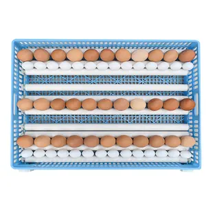 Hot Sale Full Automatic High Hatching Rate 5000 Chick Eggs Big Incubator For Industry In South Africa For Sale Dual Power Supply