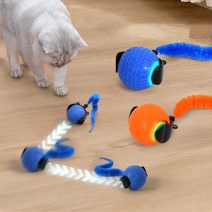 Moderner interaktiver rollender Silikon-Hunde ball Neues intelligentes Haustiers pielzeug, das für kleine und mittlere Hunde und Katzen selbst rollt - Product Image 1