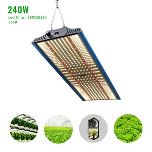 LED Grow 240W IR UV RED <span class=keywords><strong>Samsung</strong></span> LM301H Pro Version LED Grow Light Top Bin 3000K mix 5000K 4 canaux 4 interrupteurs Grow Light - Product Image 1