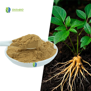 Extrait de Panax Ginseng, Extrait de Panax Quinquefolius, qualité alimentaire, 20% de ginsénosides - Product Image 2