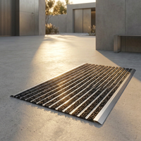 Tapete de Aluminio para Puerta