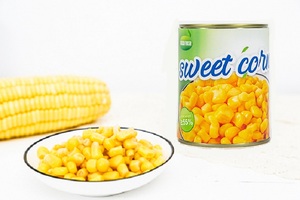 Maïs sucré en grains entiers dorés, végétalien, en vrac, ingrédient de restauration prêt à consommer, en conserve dans le sirop, pour salades et garnitures de <span class=keywords><strong>pizza</strong></span> - Product Image 4