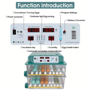 Incubateur d'œufs de dinde entièrement automatique avec contrôle intelligent de la température et retournement des œufs, conception pour l'élevage commercial - Product Image 2