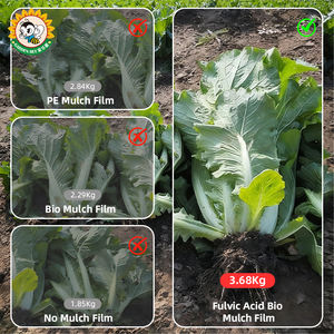 Film de paillage agricole en plastique à haut rendement Garden Bee, stimulant la production de légumes-feuilles, film de paillage dégradable à l'<span class=keywords><strong>acide</strong></span> fulvique - Product Image 2