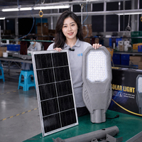 Ensemble complet de lampadaires solaires LED 400w 500w 600w batterie au lithium externe LiFePo4 sous le panneau solaire