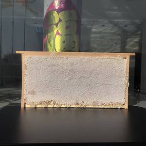 <span class=keywords><strong>Miel</strong></span> de fleurs multi-fleurs 100% naturel avec cadre entier, vente en vrac, emballage en vrac - Product Image 2