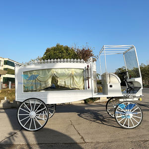 Nuevo mejor precio coche fúnebre y vehículos funerarios/coche fúnebre hecho en China - Product Image 2