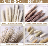 Bouquet de pampas séché et teinté en gros pour mariage, bouquet de roseaux et de queues de lapin, vente directe usine transfrontalière