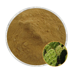Estratto di Cactus 10:1, 20:1 e 30:1; Flavonoidi di Cactus; Polvere di Cactus; Polvere idrosolubile. Estratto vegetale - Product Image 1