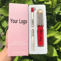 Ensemble de lèvres 2-en-1 à marque privée |   Kit de rouge à lèvres liquide mat à base de plantes, non toxique et imperméable, avec crayon à lèvres assorti |   Maquillage en gros