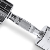 Coredeluxe Premium Pro Chrome Round Silver Haltère Poids libres pour la musculation