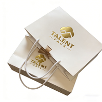 Sac en papier kraft personnalisé pour le commerce de détail, sac de shopping pour vêtements, sac cadeau de luxe avec poignée, mini emballage imprimé avec logo de marque