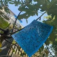 25x20 cm Dubbelzijdige Geel/Blauwe Thrips/Bladluizen/Witvlieg Stickers met Waslaag Waterdichte Fruitvliegval met Lijm