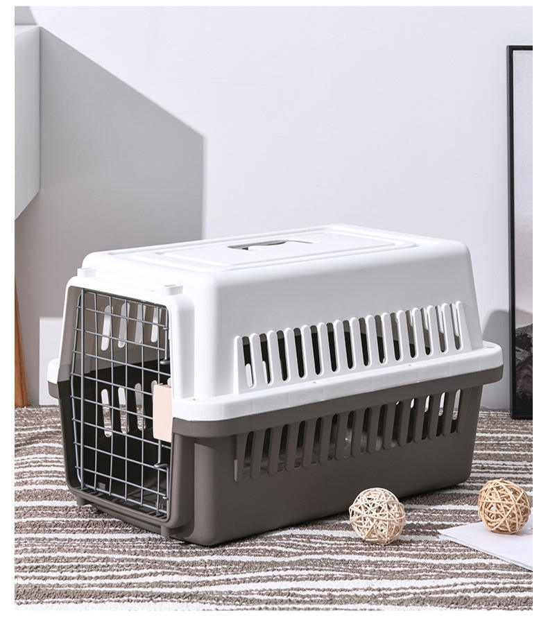 sas approved pet carrier