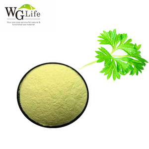 セロリ粉末アピゲニンエキス98% 食品グレード植物エキスドラム包装工場直送 - Product Image 5