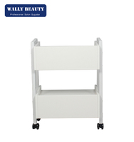 Chariot de spa professionnel, chariot de salon de beauté, chariot de rangement pour esthéticienne avec 2 tiroirs, étagère ouverte, serrure et roulettes