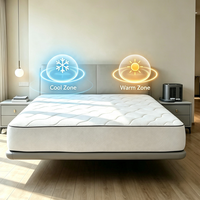 Système de récupération bien-être avec chambre à air douce et couverture de matelas à double zone de température à circulation d'eau pour soins quotidiens personnels