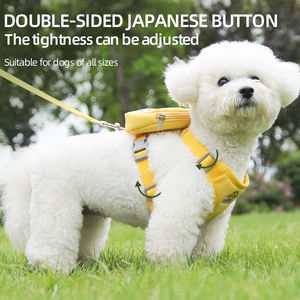 Harnais et laisse pour chien de type gilet en gros pour petits chiens, laisse de promenade pour animaux de compagnie - Product Image 2