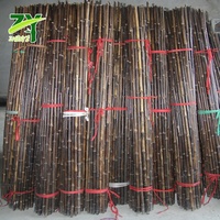 Poteau de bambou brut noir naturel, cannes de bambou Nigra, poteaux de bambou noir pour la décoration
