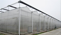 Panneaux de serre en polycarbonate PC Xianke XKPV-120 de haute qualité, transparents, durables, résistants aux intempéries et aux UV pour l'agriculture