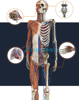 Système d'Anatomie Humaine Numérique pour l'Enseignement Scolaire et l'Autopsie, Interface Tactile, Table d'Anatomage Virtuel 3D du Corps Humain