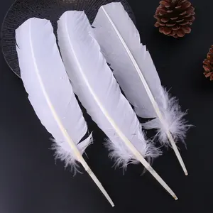 Plumas de ala de pavo artesanales DIY color mezcla blanca al por mayor plumas de Carnaval naturales de alta calidad a la venta baratas