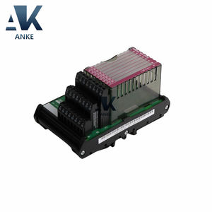 Carte de terminal Foxboro P0916AEOC - Product Image 2