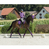 Ensemble professionnel d'équipement équestre : Bottes de cheval, tapis de selle, bonnet anti-mouches et protège-ventres