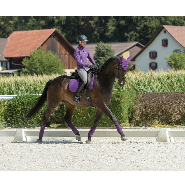 Professional Horse Boots Equine Set Equestrian