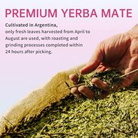 Capsules de thé Yerba Mate en gros OEM, sans OGM, extrait de Yerba Mate pour adultes, énergie propre, endurance mentale, soutien immunitaire