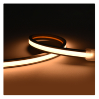Bande LED flexible en cuivre étanche IP67 3000K 480 LED 24V 10W 8MM pour éclairage extérieur paysager avec contrôleur RF dimmable – Garantie 3 ans