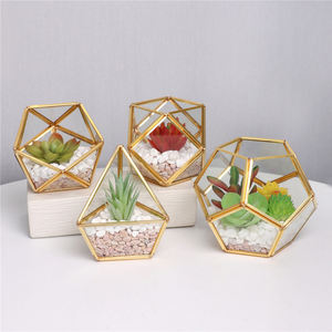 DIY Miniature Verre Géométrique <span class=keywords><strong>Terrarium</strong></span> En Pot Réaliste Artificielle Succulente pour Home Office Décoration de Mariage - Product Image 5