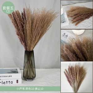 <span class=keywords><strong>Mini</strong></span> <span class=keywords><strong>bouquet</strong></span> de <span class=keywords><strong>fleurs</strong></span> <span class=keywords><strong>séchées</strong></span> gypsophile naturelles, vente en gros, bon marché - Product Image 5