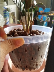 Il giardino fornisce chiari <span class=keywords><strong>vasi</strong></span> di <span class=keywords><strong>orchidee</strong></span> che rinvasano fessure nei lati vaso di fiori con fessure traspiranti <span class=keywords><strong>per</strong></span> radici <span class=keywords><strong>vasi</strong></span> di plastica - Product Image 6