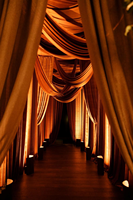 Cortinas de Terciopelo Holandés de Lujo en Verde Oliva para Escenarios de Eventos, Telón de Fondo Verde Esmeralda para Bodas, 5*16 Pies