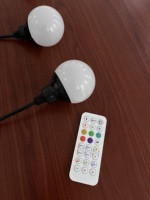 Boule de LED étanche haute luminosité 80mm Programmable Amusement Rgb DMX Dc24v Pixel lumière extérieure ampoule LED