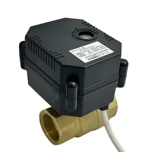 5v 12v 24v 110v 220v dc motor operated PVC plastic stainless steel brass mini electric water ball valve with fail safe function
