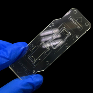 Cámara de Conteo Celular Desechable de 2 Orificios para Laboratorio Bio Rad - Product Image 4