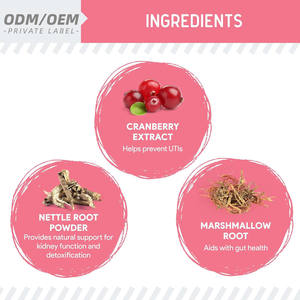 Suplemento OEM/ODM para Riñones y Arándanos para Perros - Apoyo para la Salud del Tracto Urinario y el Tratamiento de Infecciones Urinarias - Product Image 2
