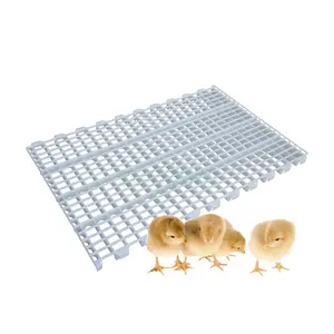 Hot Sale Broiler Hühner latten Boden gitter Schuppen Kunststoff Hühner boden Langlebiger Kunststoff-Latten boden