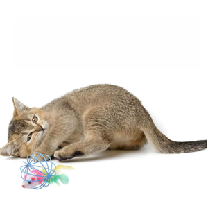 Jouets colorés pour chats : Cages en fil métallique avec plumes, en PP durable, pour l'auto-entretenement des chats et le jeu interactif - Product Image 1