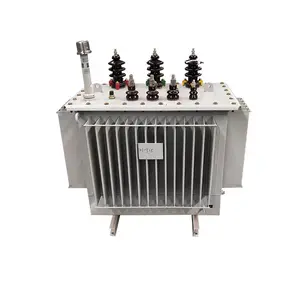 S9 S11 Transformador de potencia trifásico de 100 KVA Núcleo de hierro amorfo con barril y gabinete 11KV Voltaje de salida 400V Voltaje de entrada