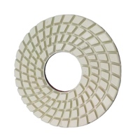 Offre Spéciale Tampons de Polissage Diamantés Humides/Secs, Graine Fine 50, Abrasifs pour Meuleuse d'Angle, Polissage de Pierre, Personnalisable, OEM, Marque de Premier Plan