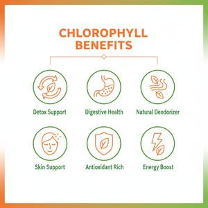 Suplemen Kapsul Klorofil Body Magic Superfood Hijau Berkualitas Tinggi untuk Kesehatan dan Konsentrasi - Product Image 6