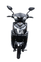 Scooter Eléctrico con 9 Tubos, Controlador Súper Silencioso, Frenos de Disco Delanteros y Traseros, para Ocio en el Parque