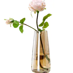 Ins – vase en verre transparent rond ambre clair en cristal pour la maison, le bureau, la cuisine, la décoration de bureau