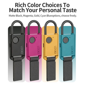 Cadenas intelligent biométrique à empreinte digitale, sans clé, portable, rechargeable USB-C, en alliage de zinc, pour casier de gym, sac à dos, valise - Product Image 3