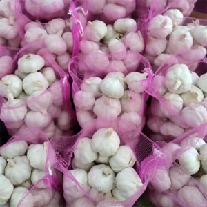 Ail frais blanc pur, bon marché, blanc neige, origine chinoise, ail Super blanc, vente en gros pour l'exportation - Product Image 6