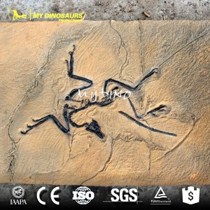 Esqueleto de Dinosaurio de Fibra de Vidrio My <span class=keywords><strong>Dino</strong></span> D09, Placa Fósil de Archaeopteryx - Product Image 2