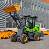 Mini Caricatore Elettrico a Batteria al Litio, Caricatore Frontale Compatto, Attrezzatura da Costruzione Direttamente dalla Fabbrica